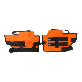 Pistol Case