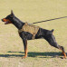 Dog Harness